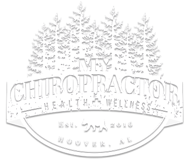 My Chiropractor Logo Large White